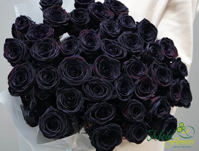 Trandafiri negri premiu Olanda(La comanda 10 zile ) foto